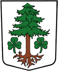 Wappen Gemeinde Staldenried Kanton Wallis